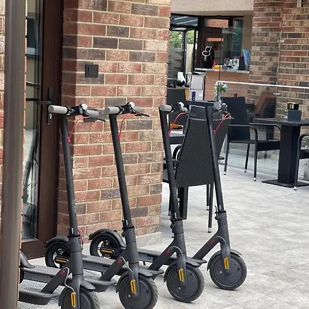 Center * Паланга